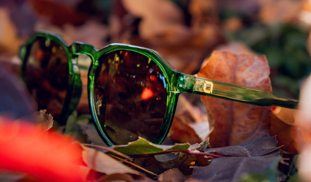 Close up of Optic Nerve RiNO sunglasses with a green frame and brown lens on leaves