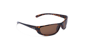 Backwoods Sunglasses with a tortoise frame and a brown lens on a white background