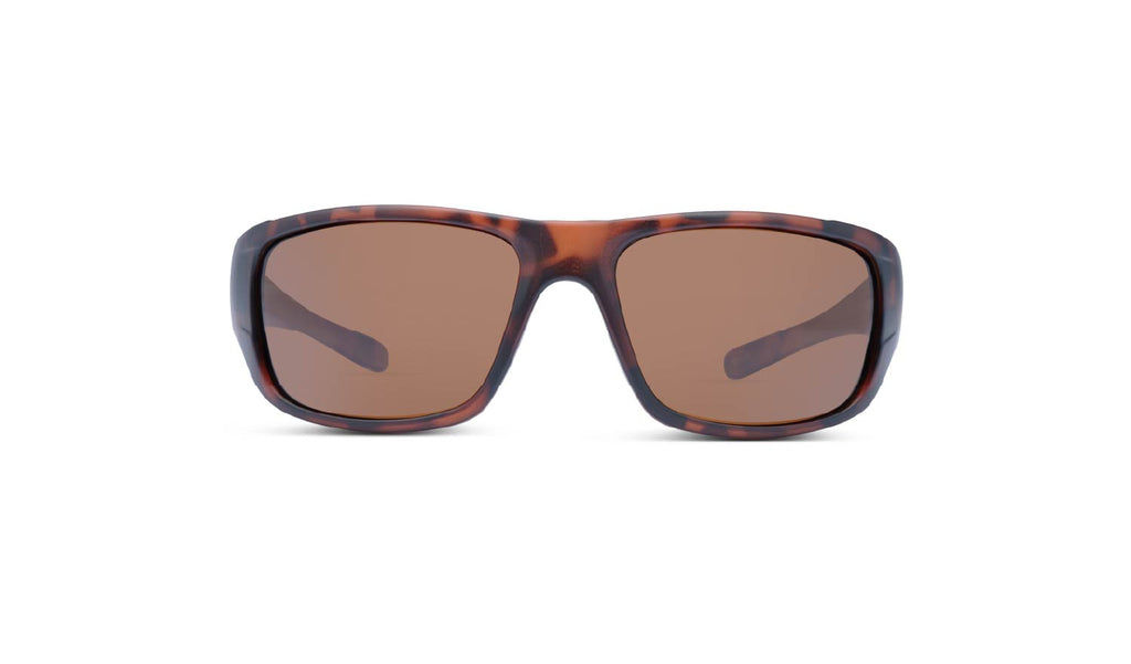 Optic Nerve Contra sunglasses with a tortoise frame and brown lenses on a white background