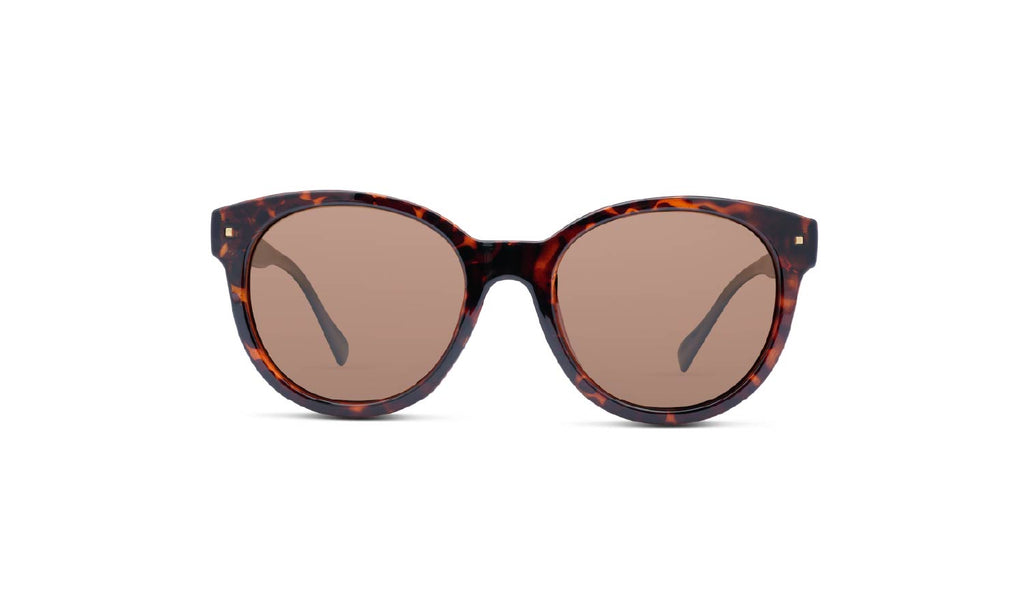 Optic Nerve Hotplate sunglasses with a tortoise frame and brown lenses on a white background