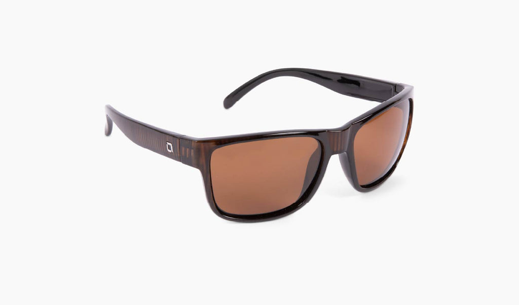 Optic Nerve Kingfish sunglasses with a brown frame and brown lenses on a white background