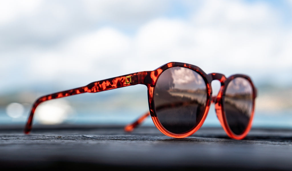 Close up of Optic Nerve RiNO sunglasses with a tortoise frame, smoke lenses, and a gold mirror.