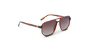 Optic Nerve Wonderspoon sunglasses with a brown frame and brown lenses on a white background.