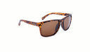 Optic Nerve Ziggy XL Sunglasses with a tortoise frame and a brown lens on a white background