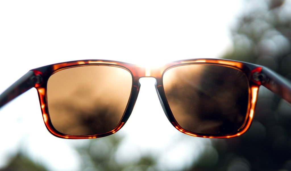 Optic Nerve Ziggy sunglasses with a tortoise frame and brown lenses, with the sun shining through the lenses and a blurred background