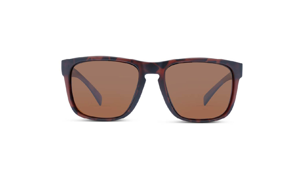 Optic Nerve Ziggy sunglasses with a tortoise frame and brown lenses on a white background.