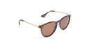 Optic Nerve Pizmo sunglasses with a tortoise frame and brown lenses on a white background