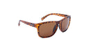 Optic Nerve Ziggy sunglasses with a tortoise frame and brown lenses on a white background.